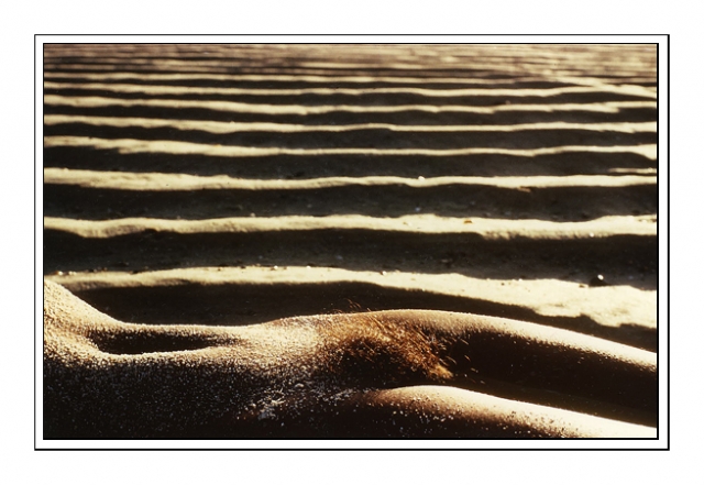 Sables et dunes site.jpg